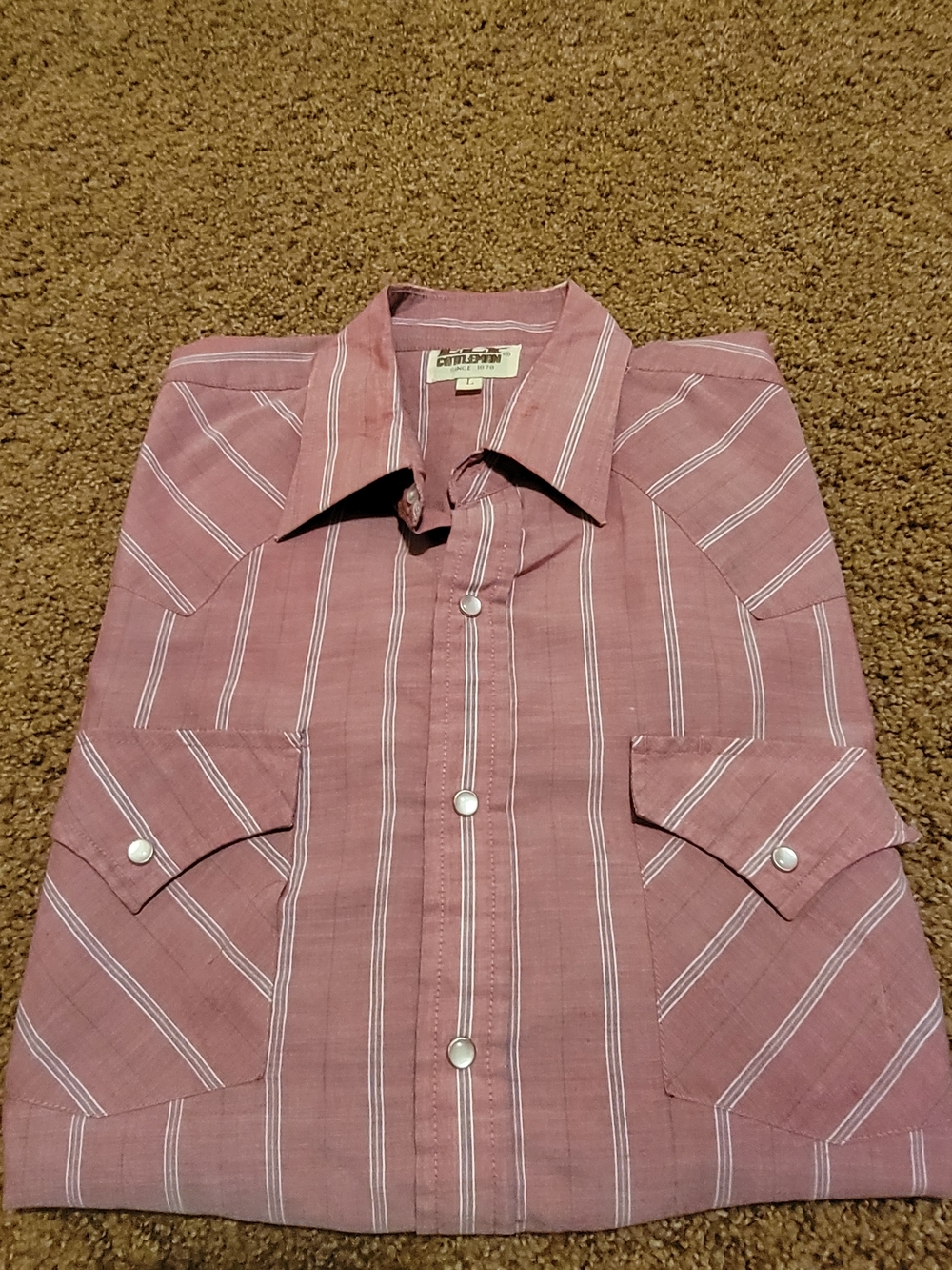 Ely Cattleman Men's Pink Striped Button-Down Shirt Large